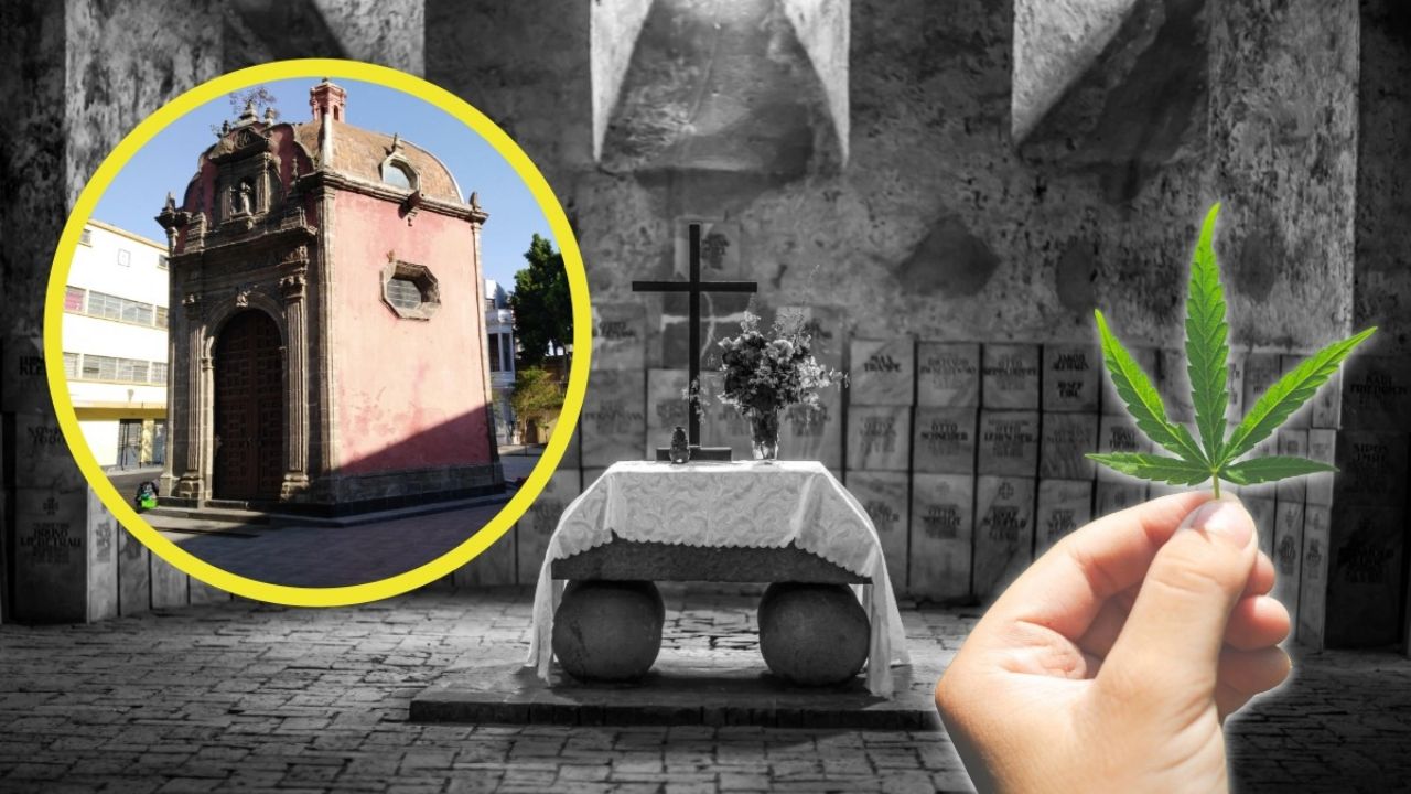 Así es la Plaza de la Concepción o "Plaza de los Muertos", nuevo lugar lúdico para fumar marihuana | UBICACIÓN
