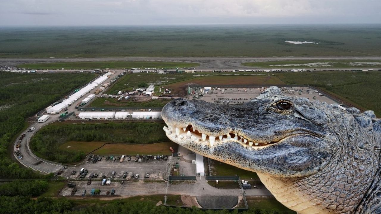 Ordenan cierre de Alligator Alcatraz, el centro de detención migratorio de Trump: jueza fija plazo de 60 días